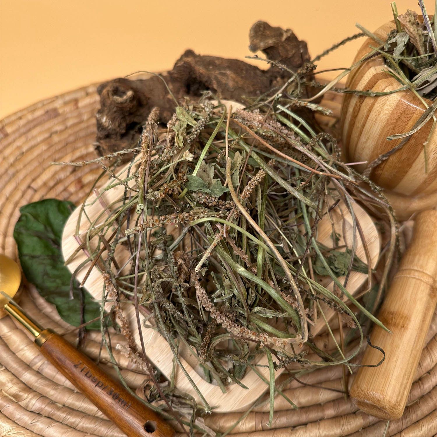 Damar Otu (Sinirli Ot) - 1