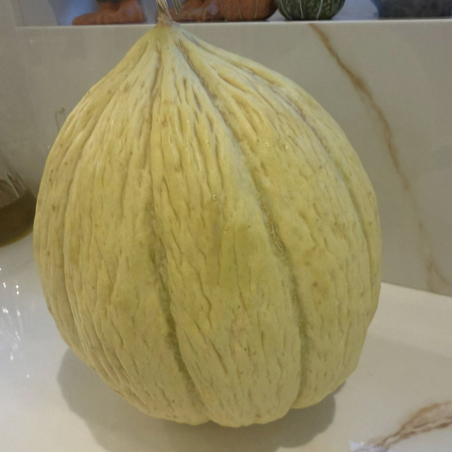 On Dilim Kavun Tohumu - 1