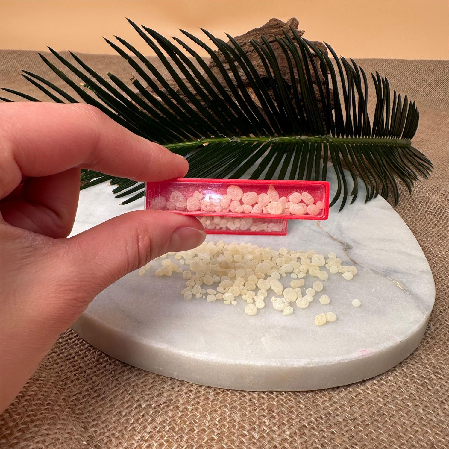 Sakız Adası Damla Sakızı - 2